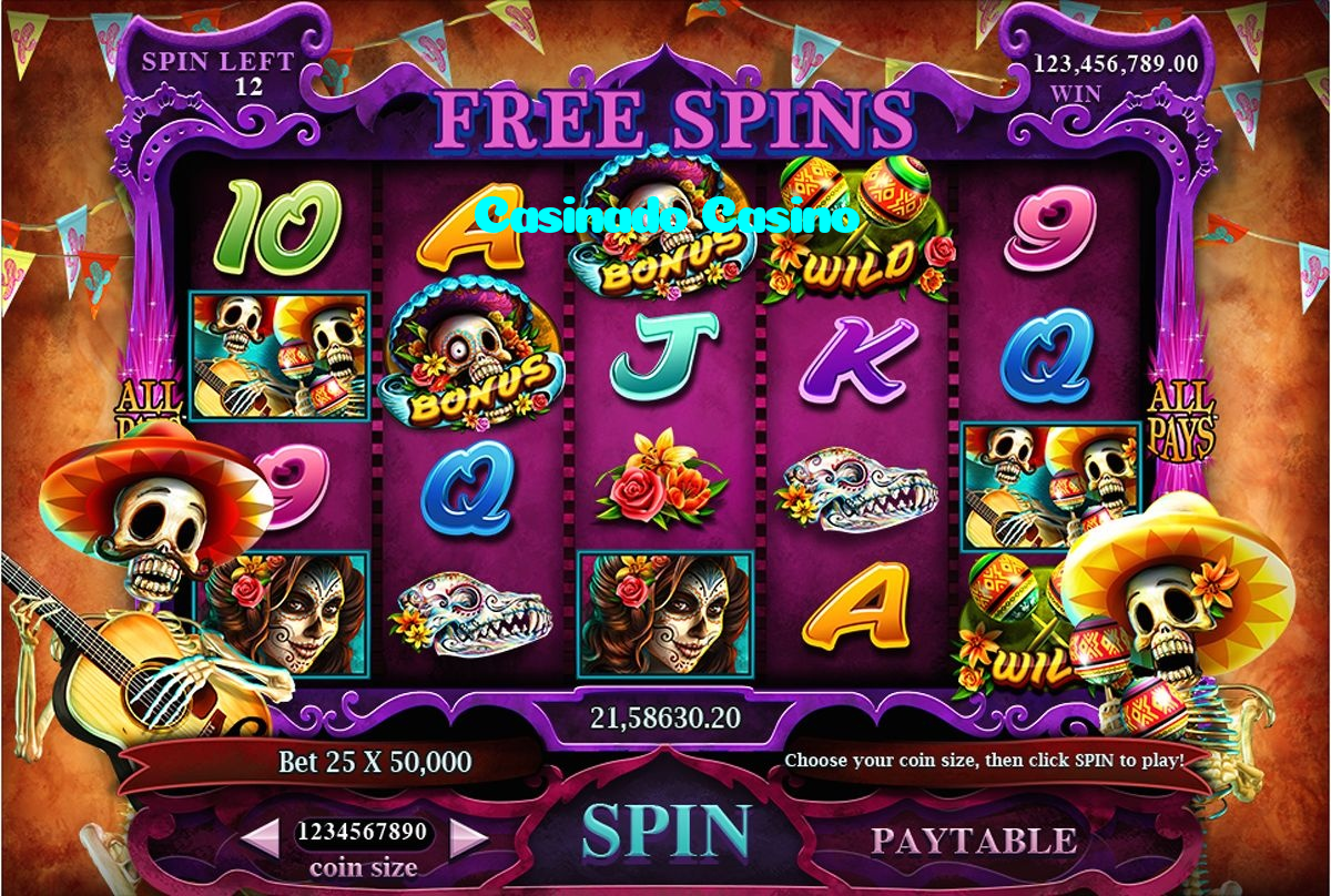 available types of Casinado Casino bet including pre-match live express and system bets